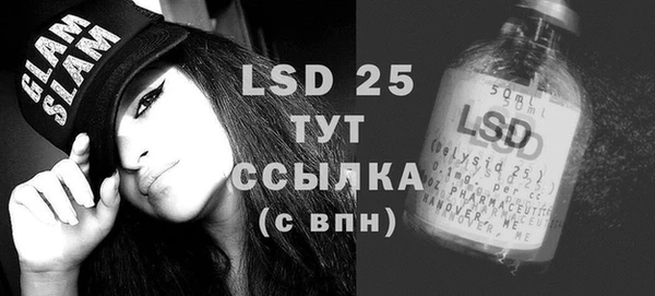 ПСИЛОЦИБИНОВЫЕ ГРИБЫ Гусиноозёрск