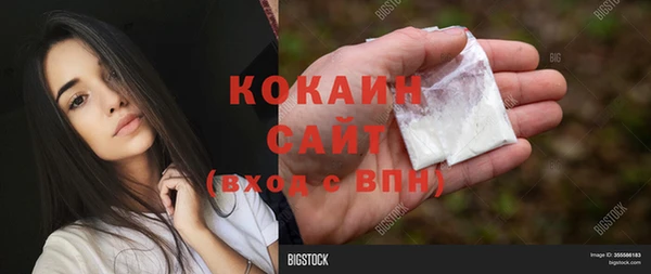 jwh Гусев