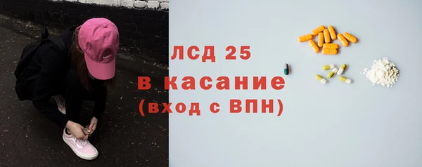 ПСИЛОЦИБИНОВЫЕ ГРИБЫ Гусиноозёрск