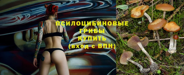 jwh Гусев