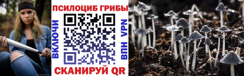 Купить закладки  Николаевск  Псилоцибиновые грибы ЛСД 